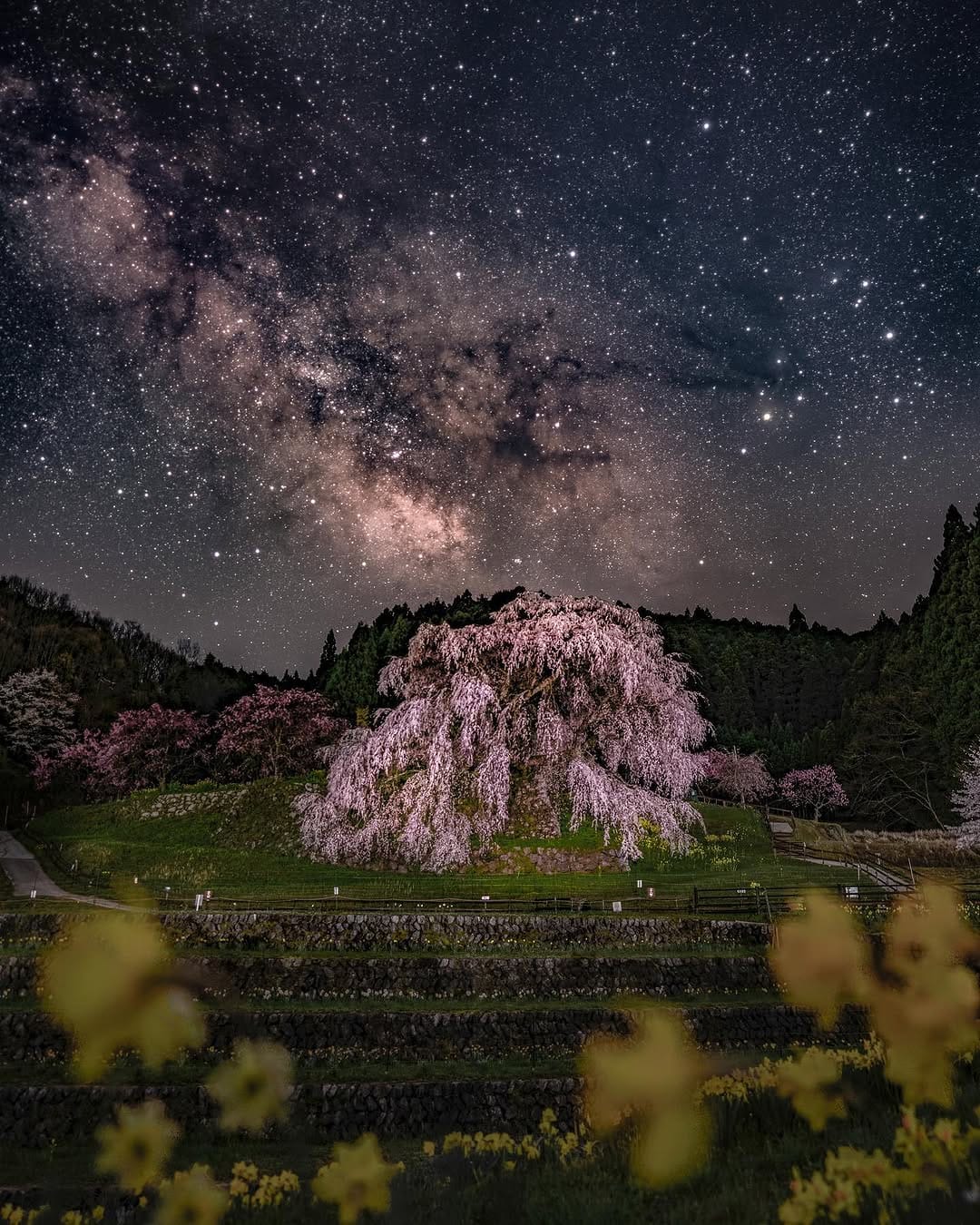 Post 10 by 軍曹’ on Instagram (image)
