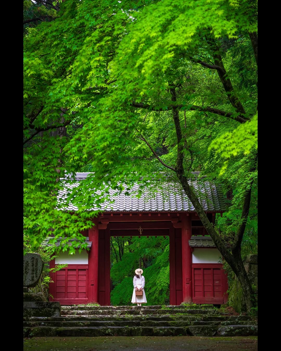 Post 5 by こう on Instagram (image)