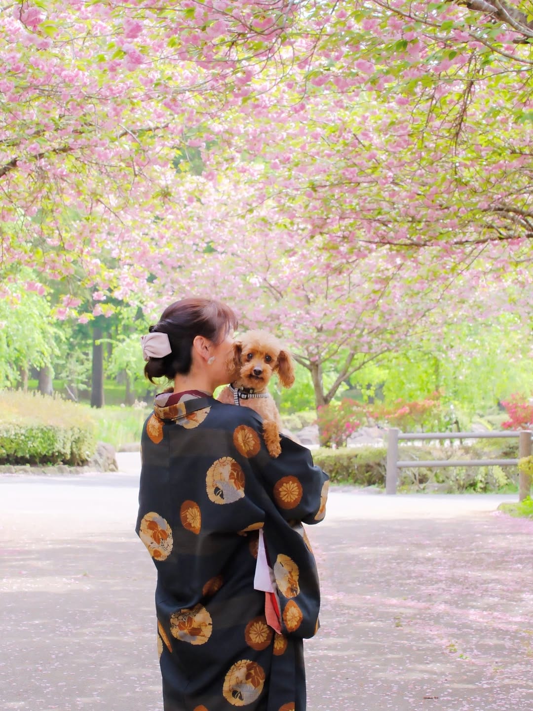 Post 5 by Miyabi on Instagram (image)