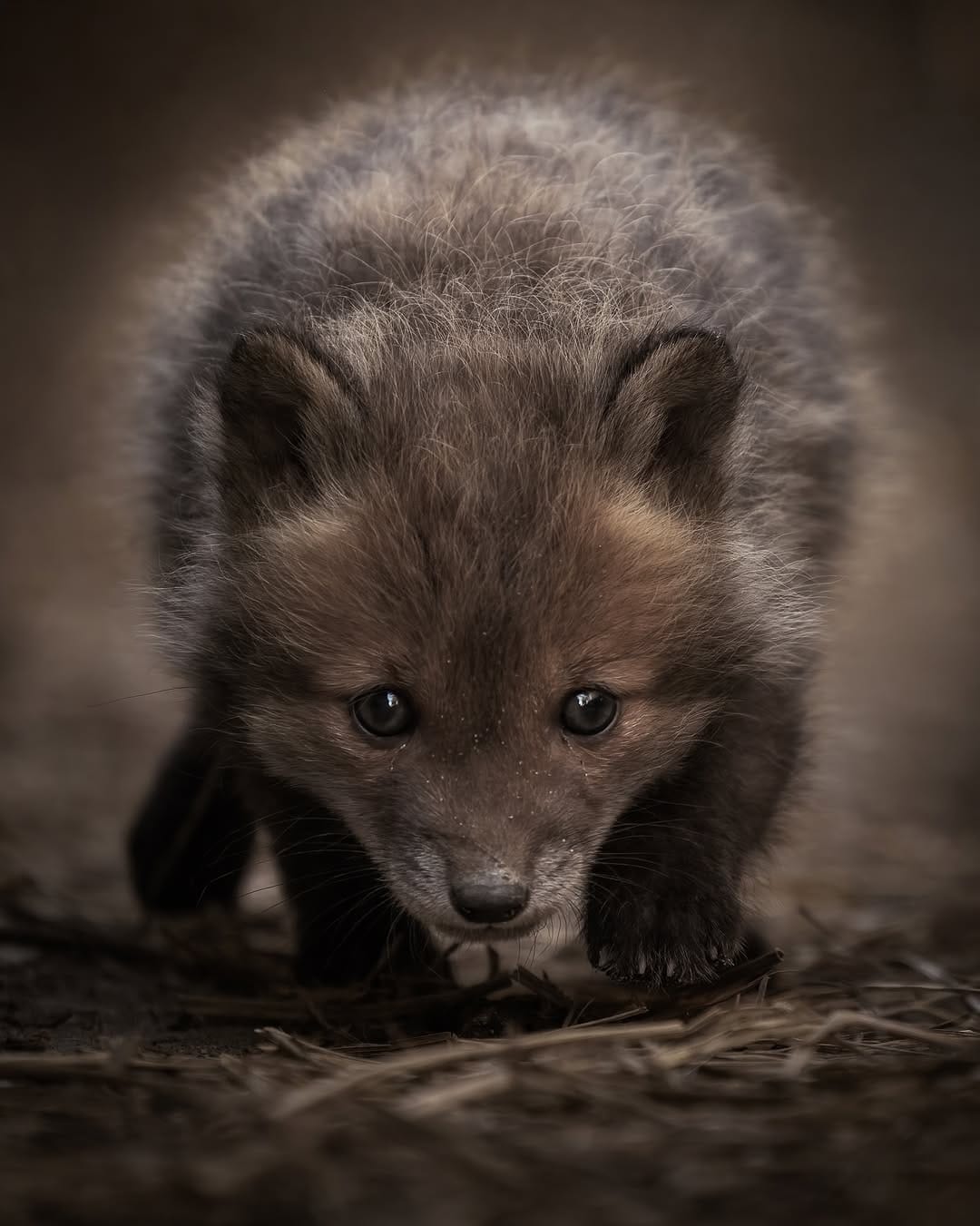 Post 4 by KOKO on Instagram (image)
