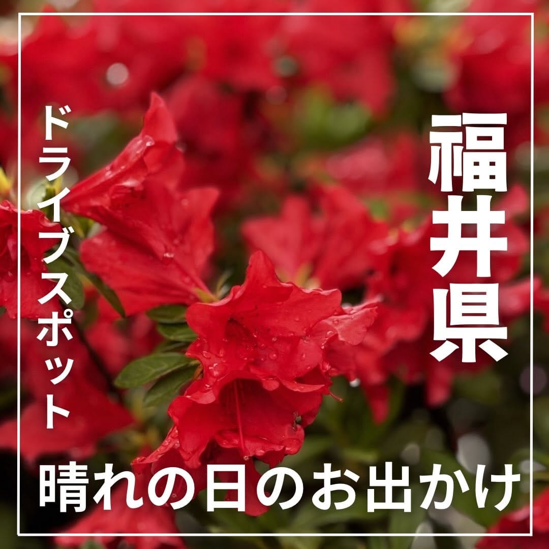 Post 10 by fukuikanko1 /観光編【福井】 on Instagram (carousel)