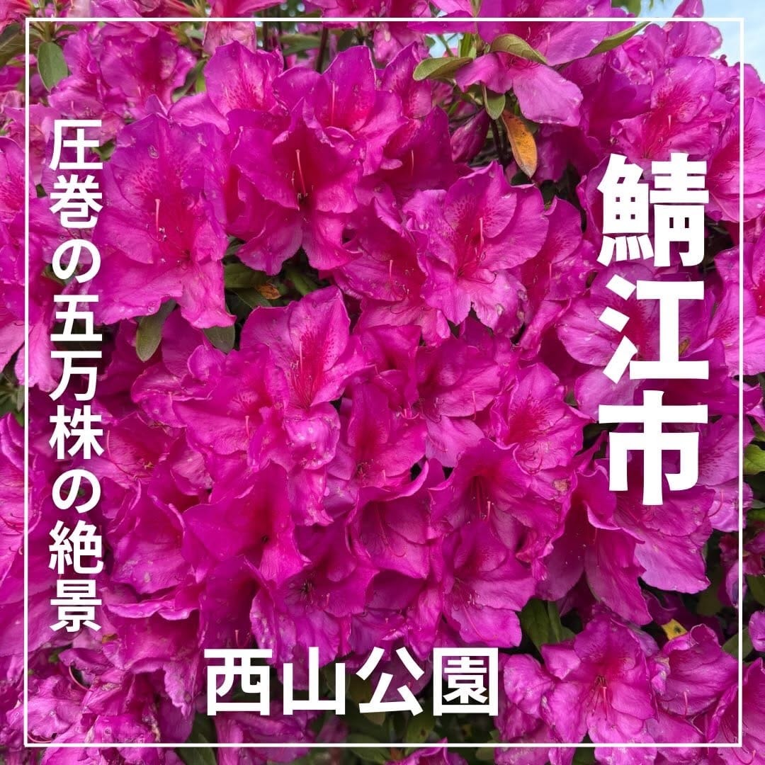Post 8 by fukuikanko1 /観光編【福井】 on Instagram (carousel)