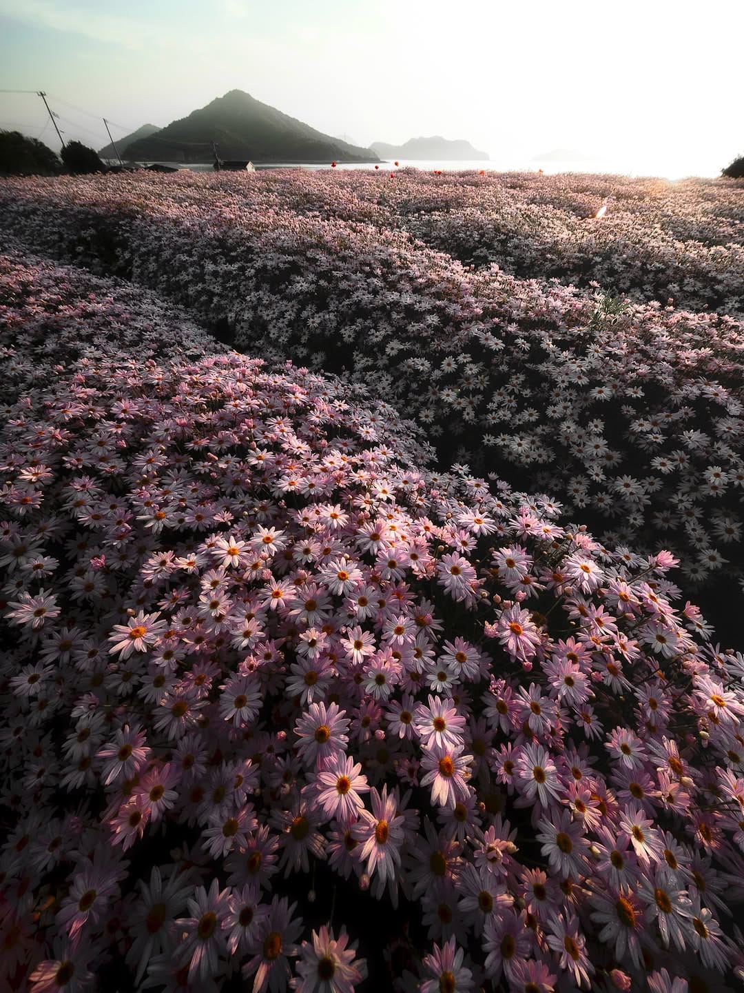 Post 1 by mizuki on Instagram (image)