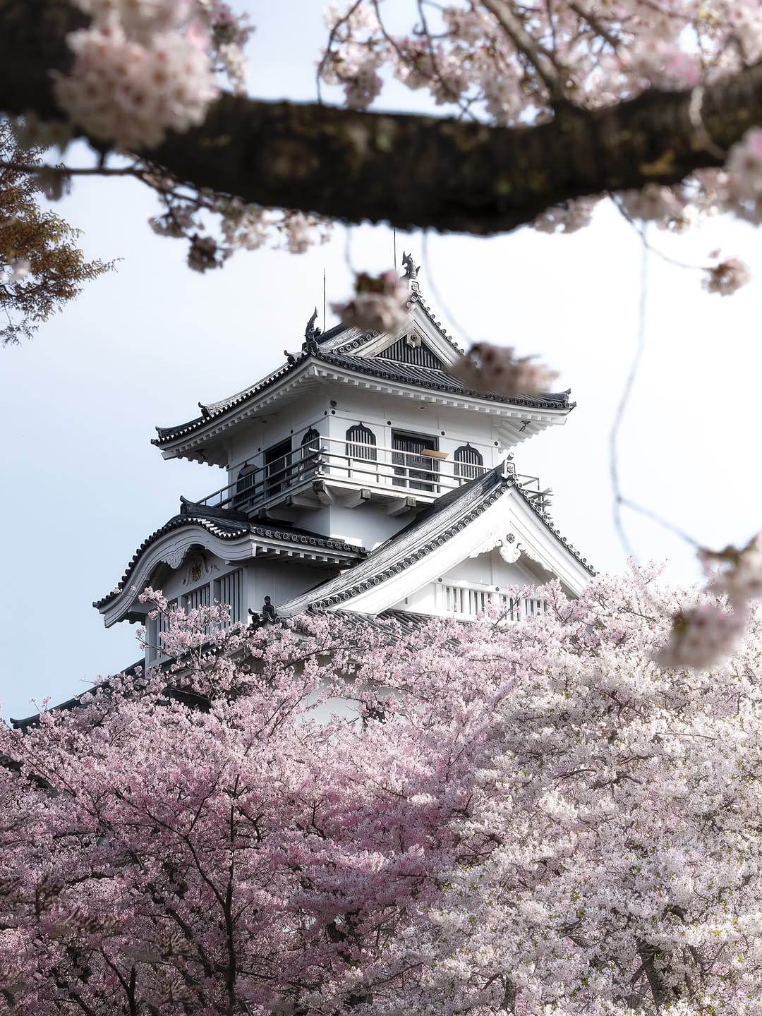 Post 6 by mizuki on Instagram (image)