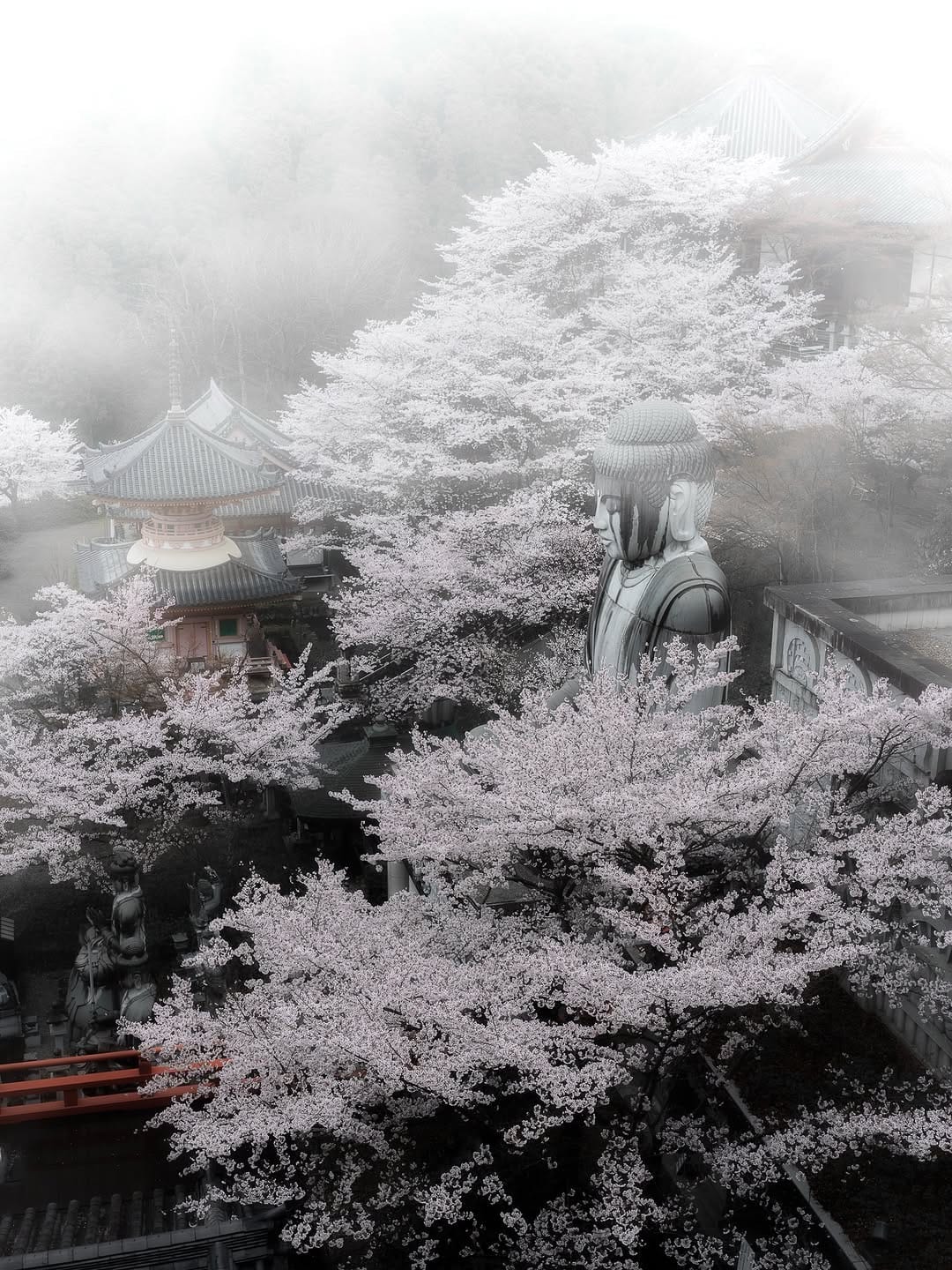 Post 8 by mizuki on Instagram (image)