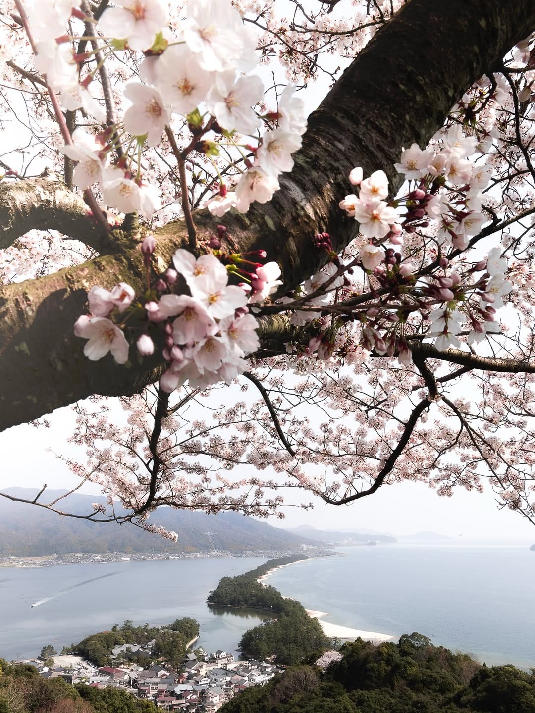 Post 2 by mizuki on Instagram (image)