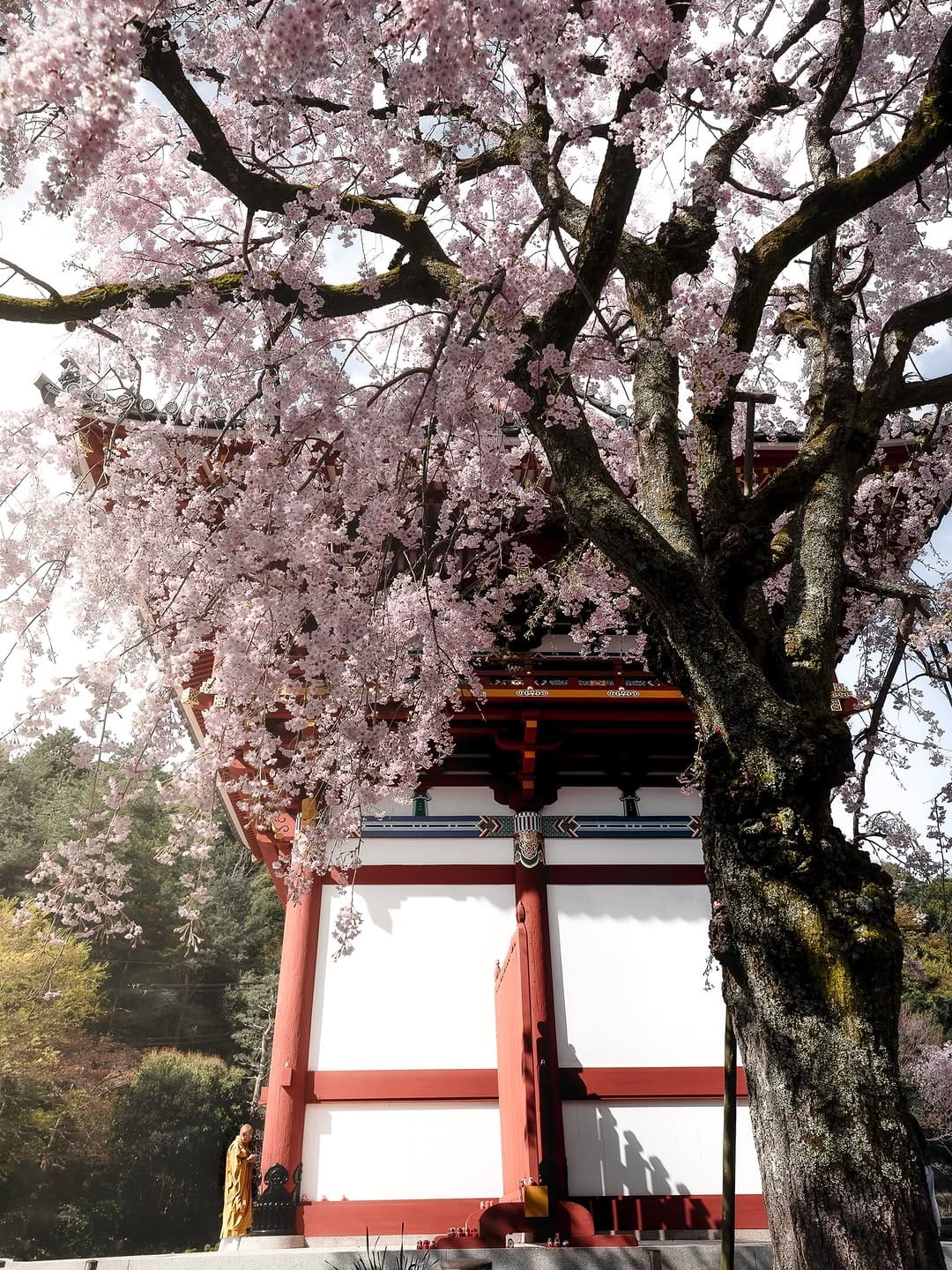 Post 4 by mizuki on Instagram (image)