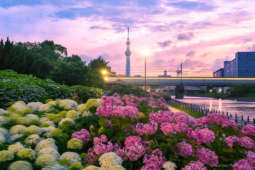 Post 6 by Noe Arai on Instagram (image)