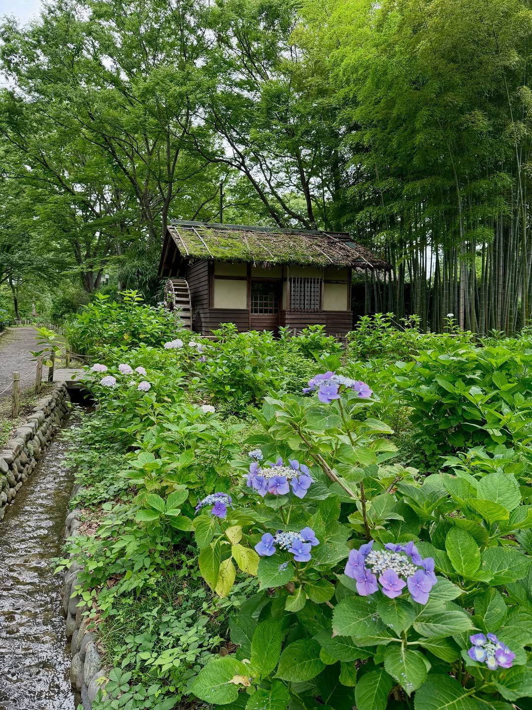 Post 1 by Noe Arai on Instagram (image)