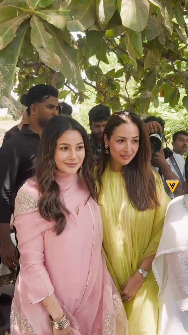 Post 7 by Rose on Instagram (video)