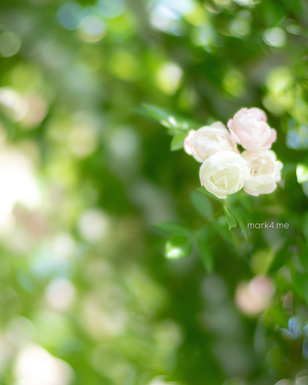 Post 2 by @mark4.me on Instagram (image)