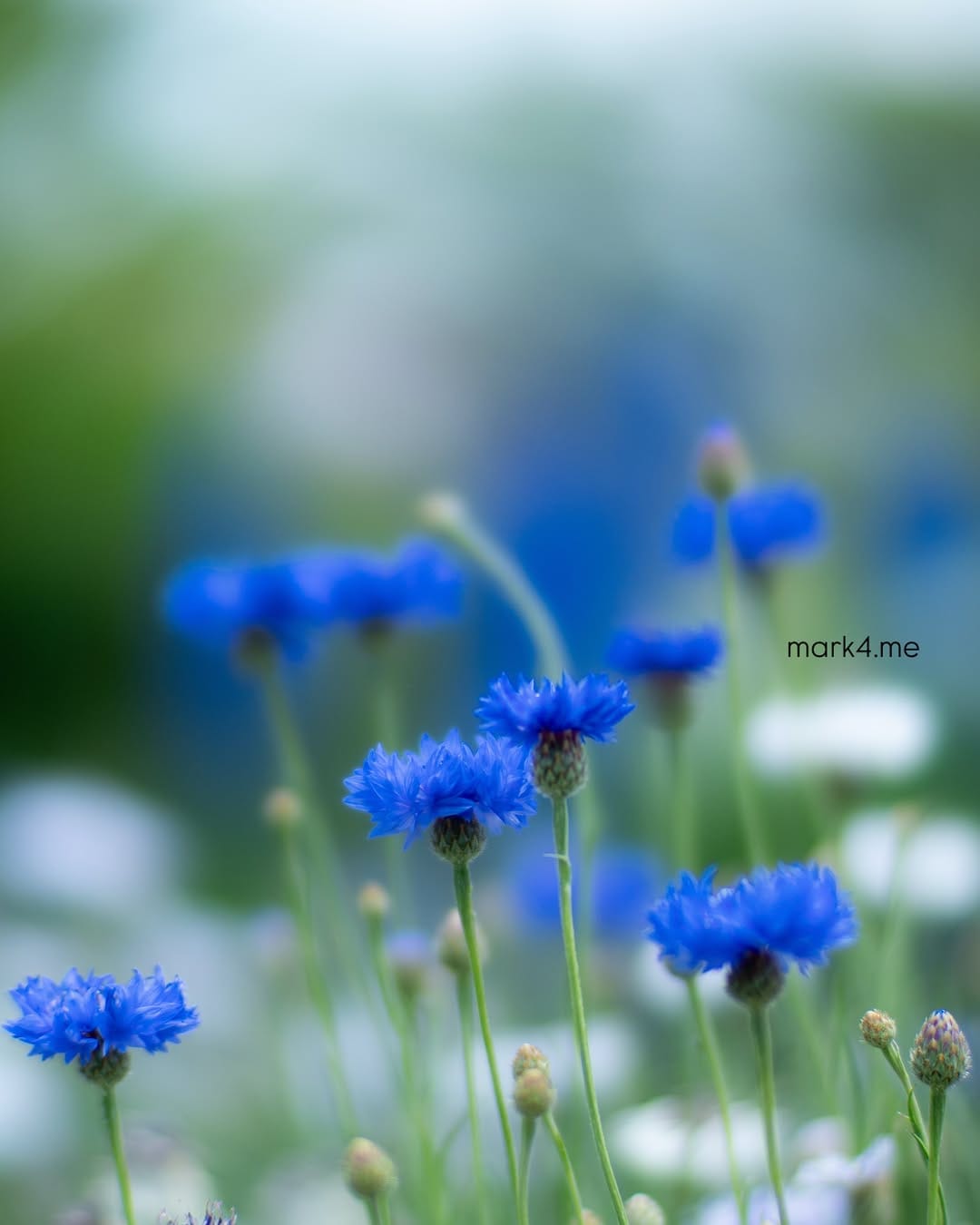 Post 3 by @mark4.me on Instagram (image)
