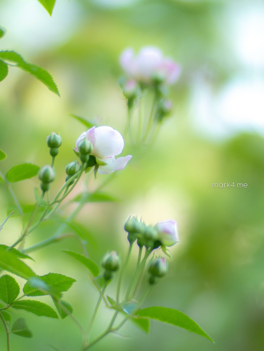 Post 8 by @mark4.me on Instagram (image)