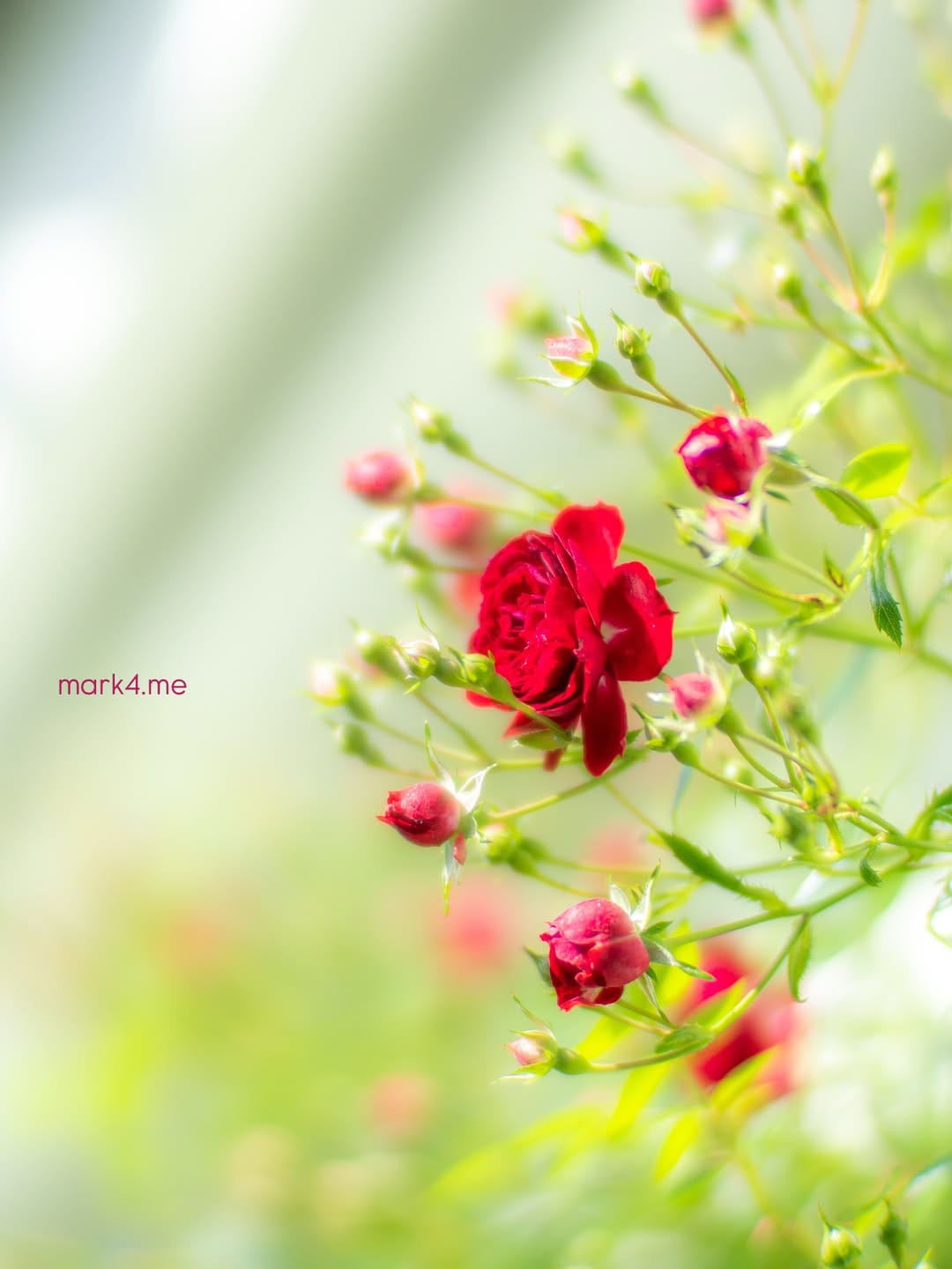 Post 6 by @mark4.me on Instagram (image)