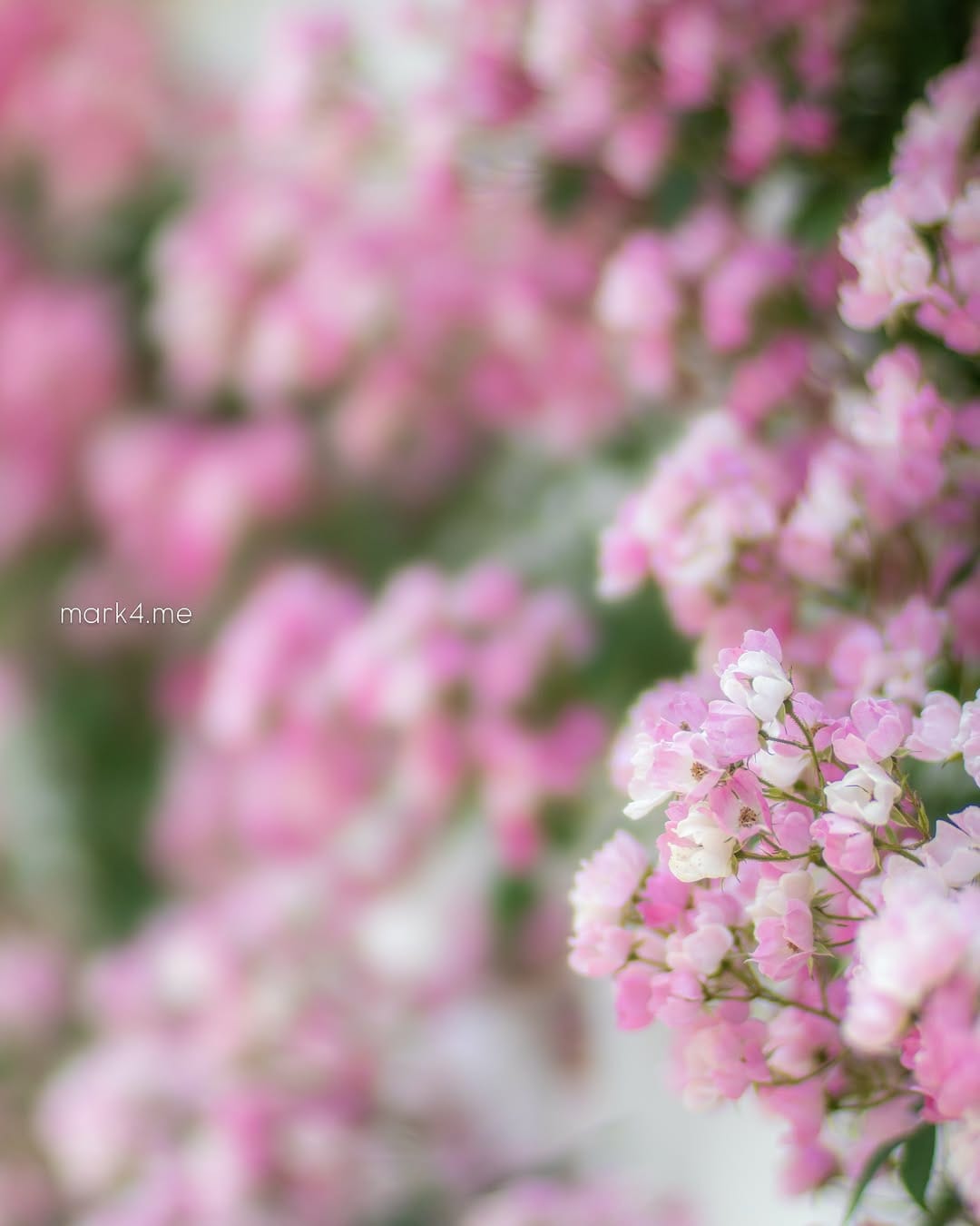 Post 4 by @mark4.me on Instagram (image)