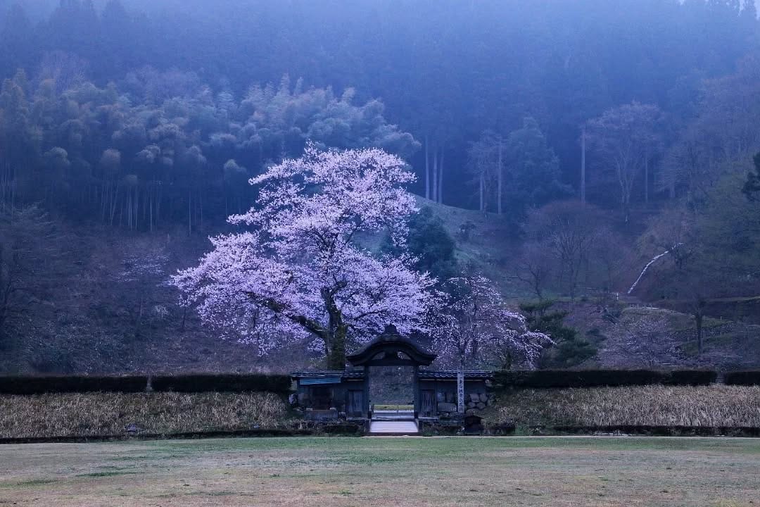 Post 8 by 山崎末弘 on Instagram (image)