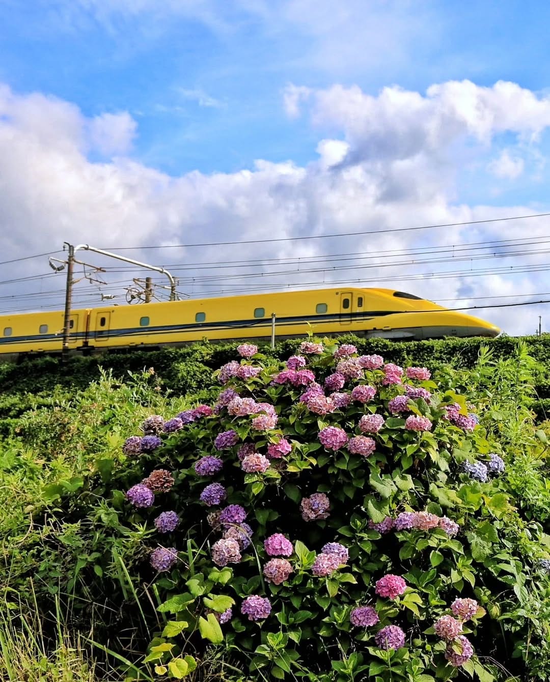 Post 7 by 山崎末弘 on Instagram (image)