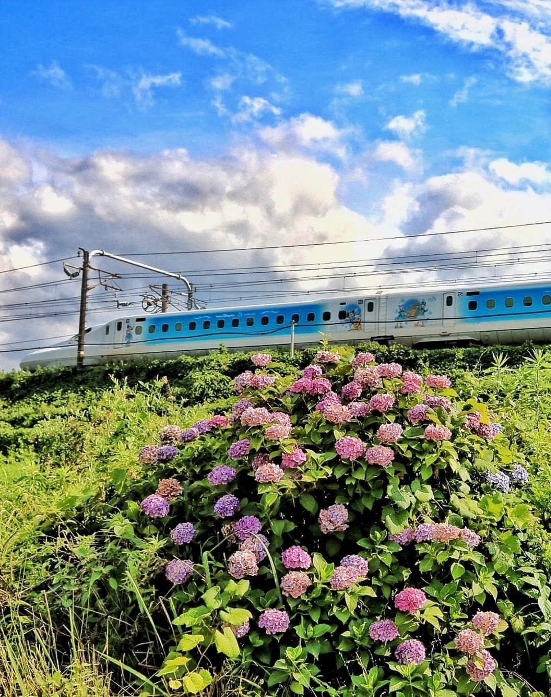 Post 6 by 山崎末弘 on Instagram (image)