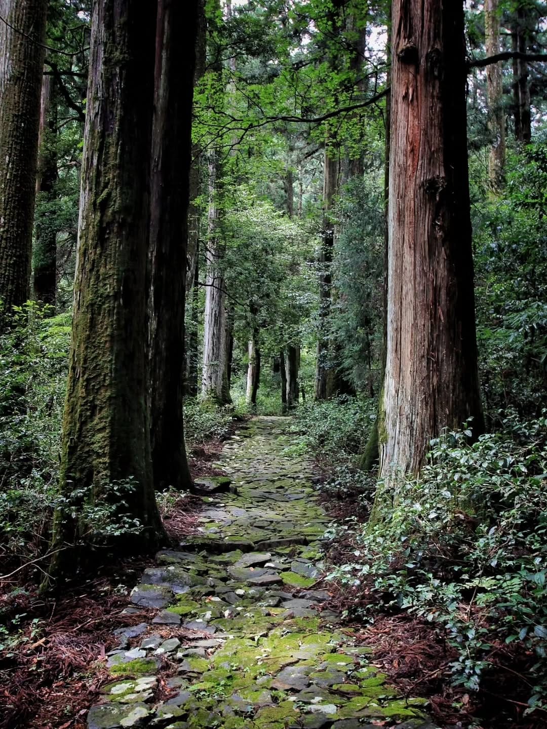 Post 1 by 山崎末弘 on Instagram (image)