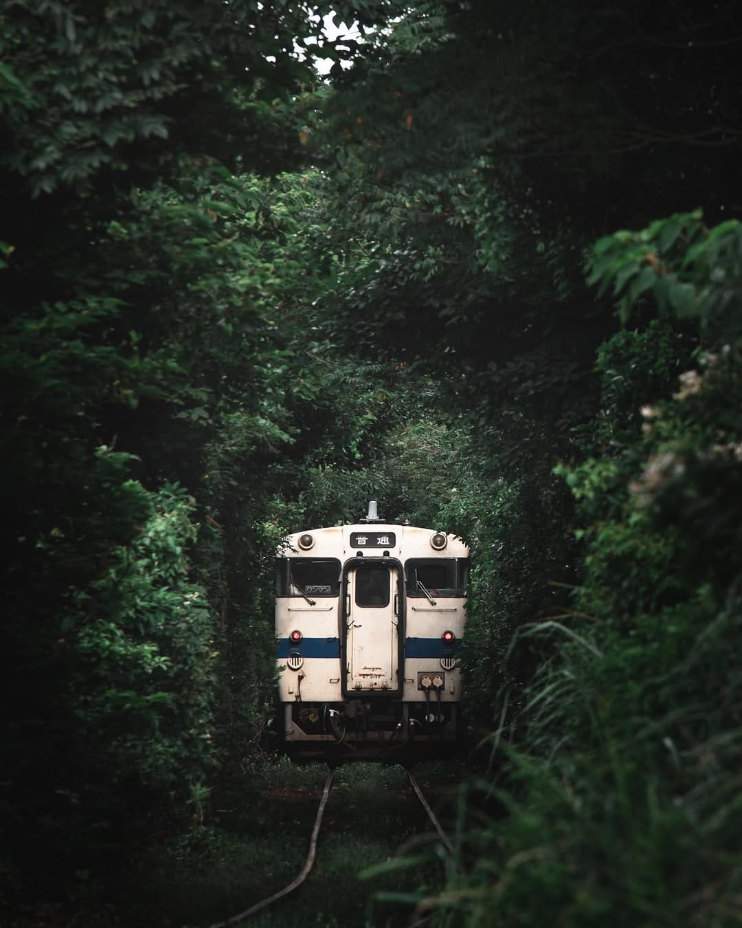 Post 8 by Takahiro Yamada on Instagram (image)