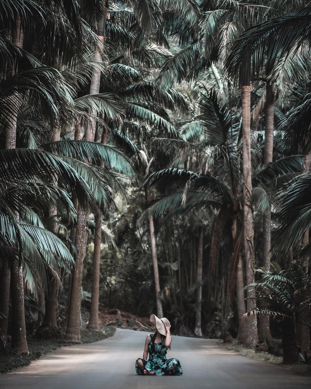 Post 9 by Takahiro Yamada on Instagram (image)