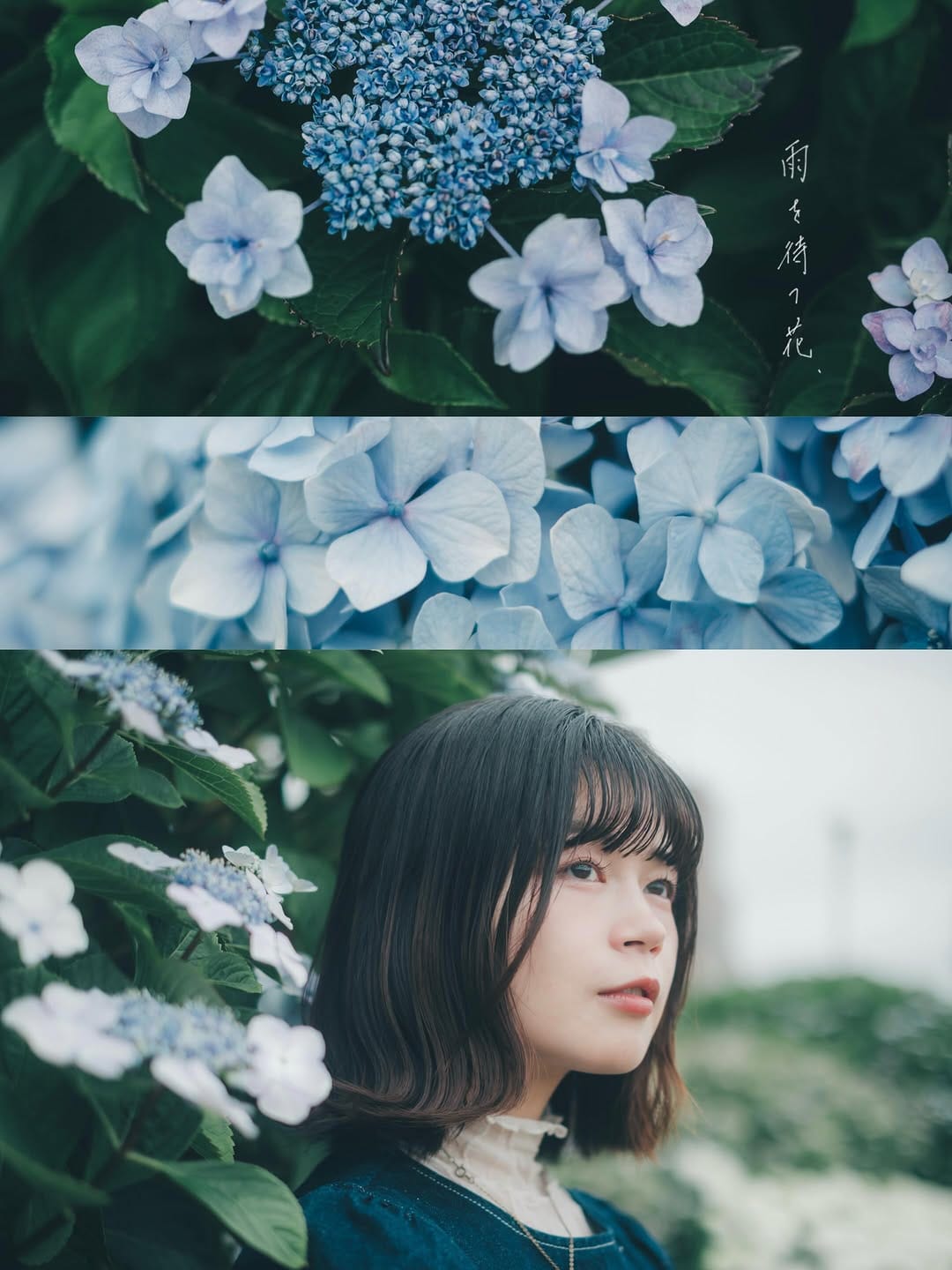 Post 3 by lily photo on Instagram (carousel)