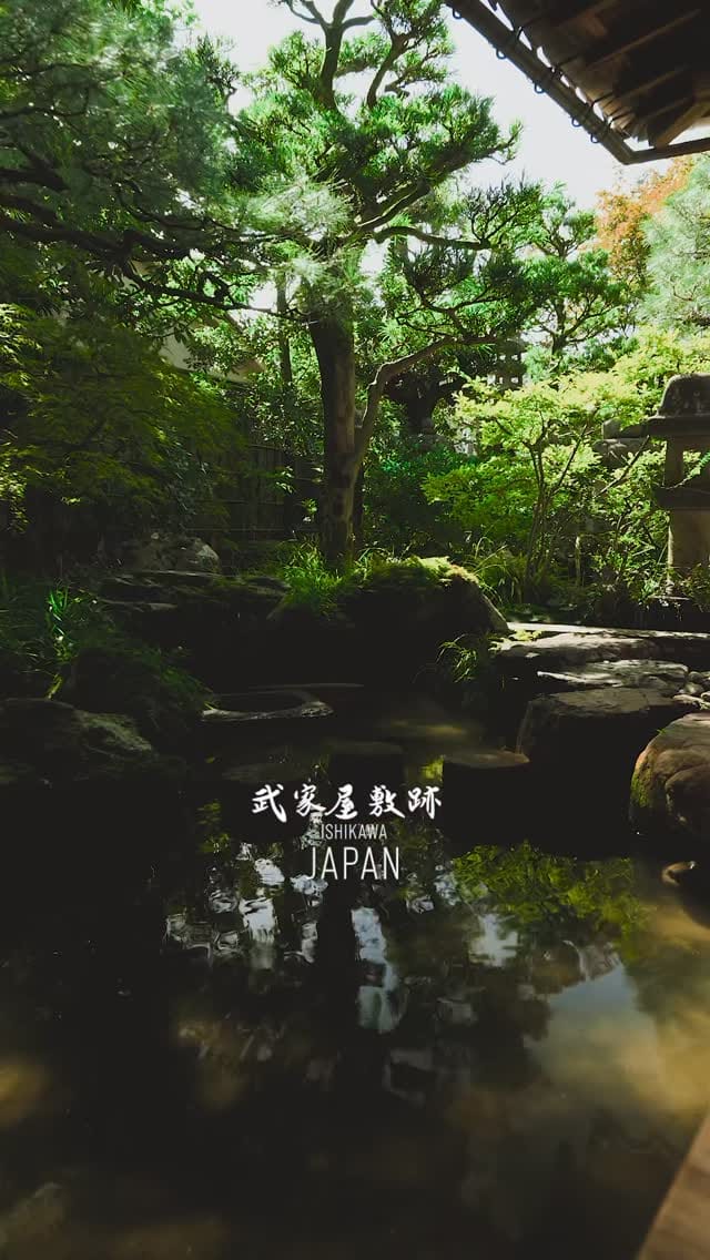 Post 8 by Shohei Sakae on Instagram (video)