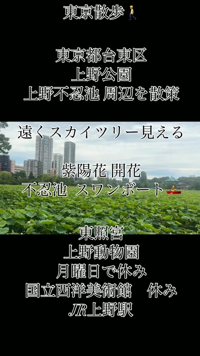 Post 1 by Katsuo  Morita on Instagram (video)