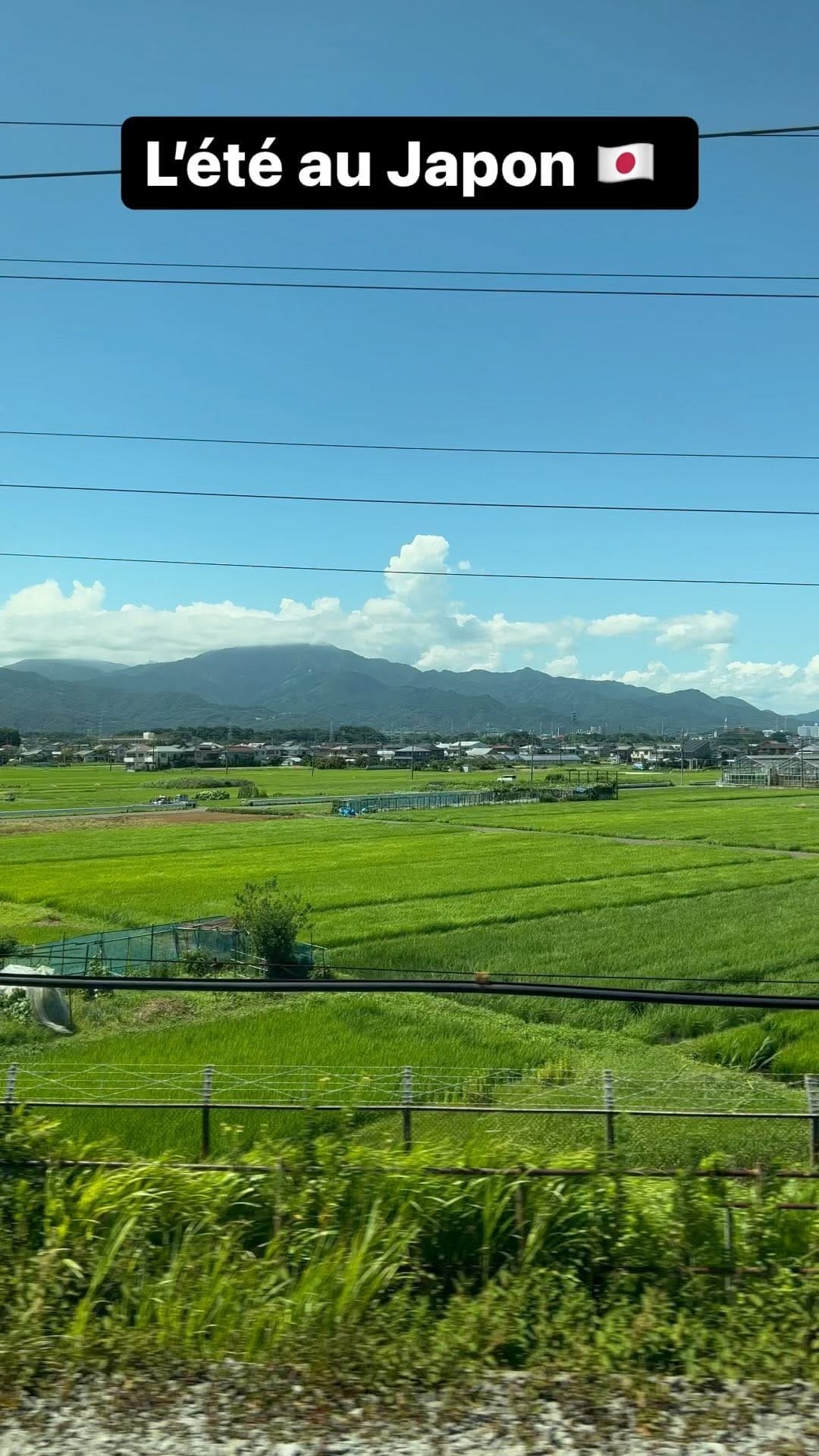 Post 6 by David M. on Instagram (video)