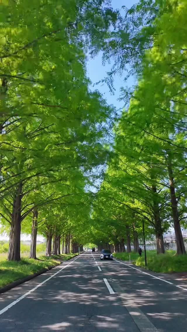 Post 5 by tono_eiji on Instagram (video)