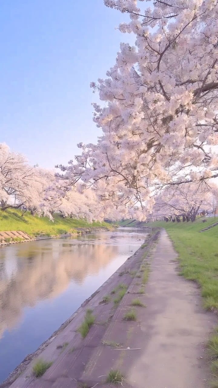 Post 10 by tono_eiji on Instagram (video)