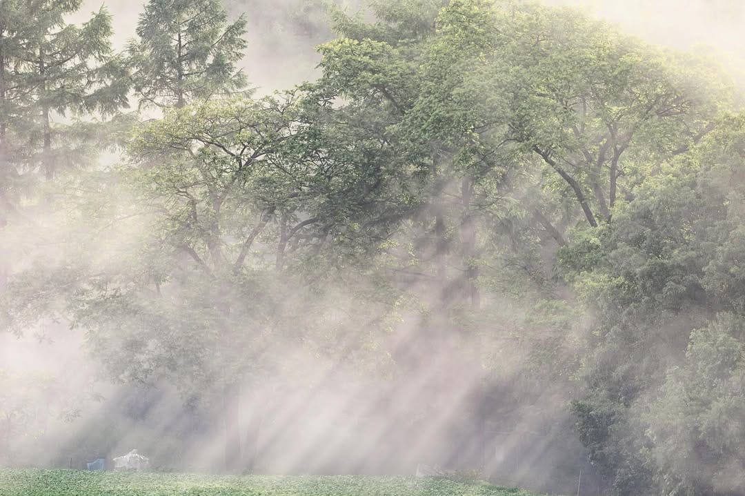 Post 1 by Yoshizumi Suzuki on Instagram (image)