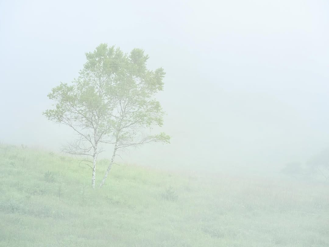 Post 2 by Yoshizumi Suzuki on Instagram (image)