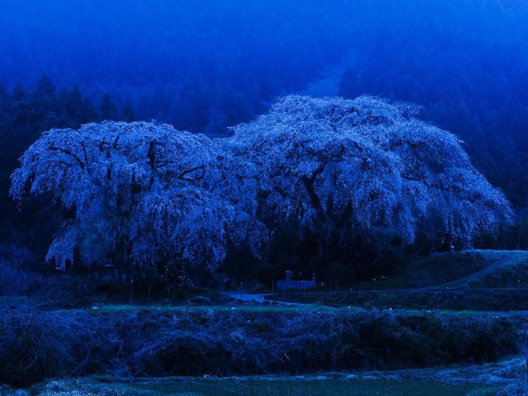 Post 7 by Yoshizumi Suzuki on Instagram (image)