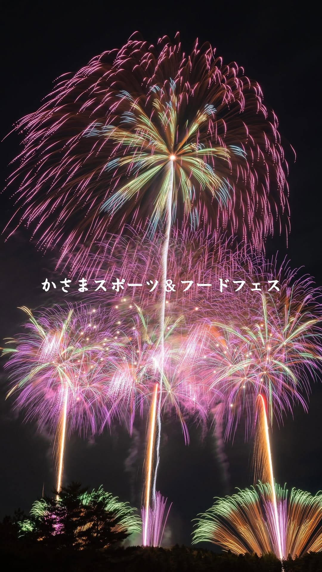 Post 9 by Takiii / 日本の花火 / fireworks / 花火 on Instagram (video)