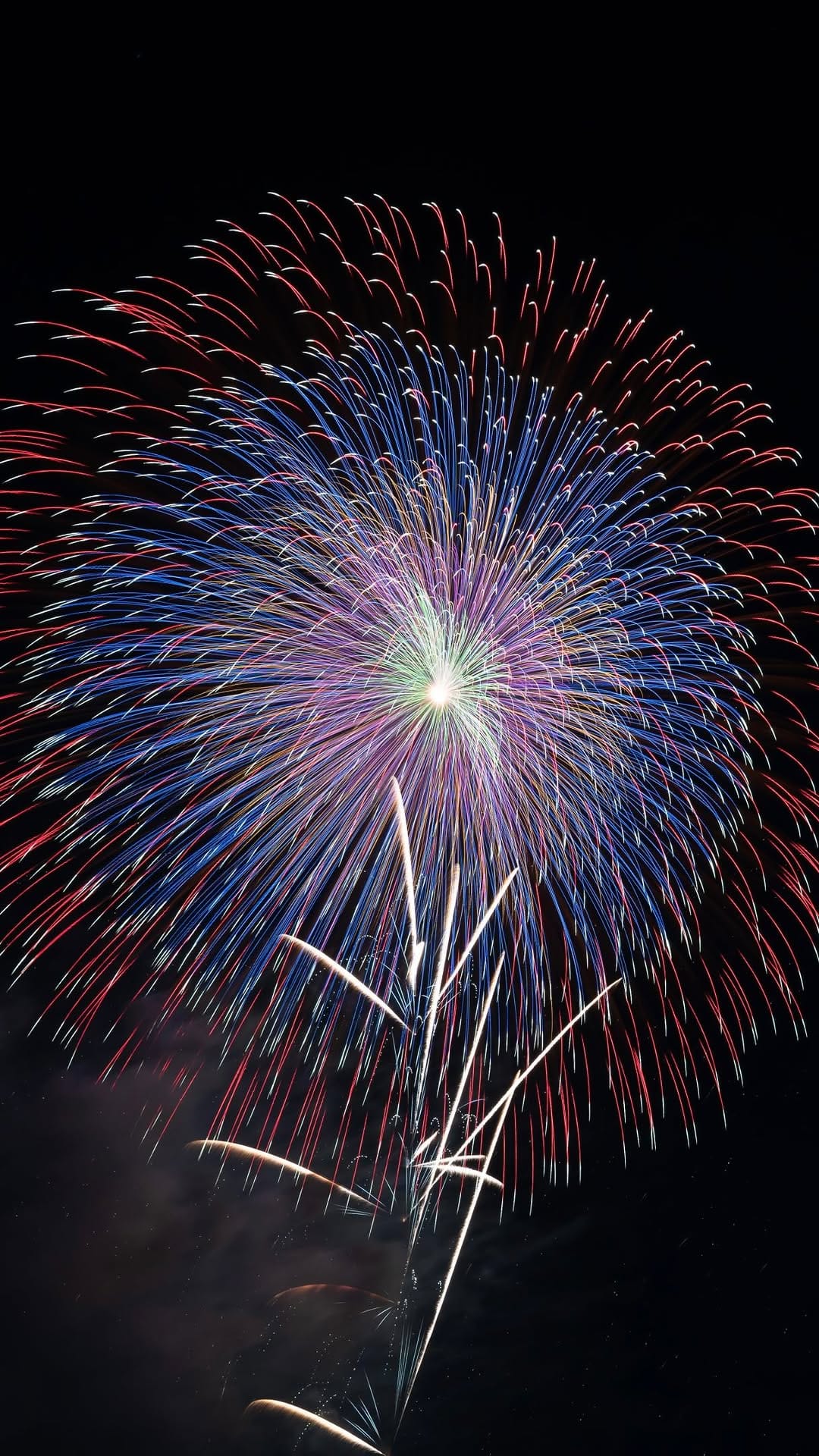 Post 8 by Takiii / 日本の花火 / fireworks / 花火 on Instagram (video)