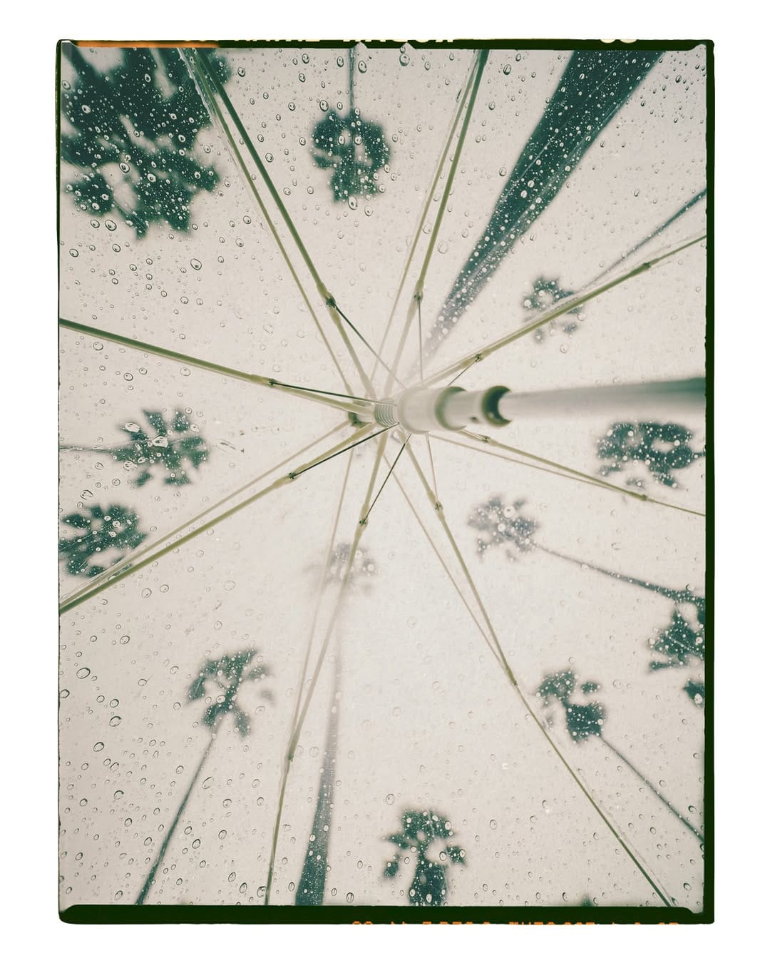 Post 5 by ADAM SERRA 🦘📸 on Instagram (carousel)