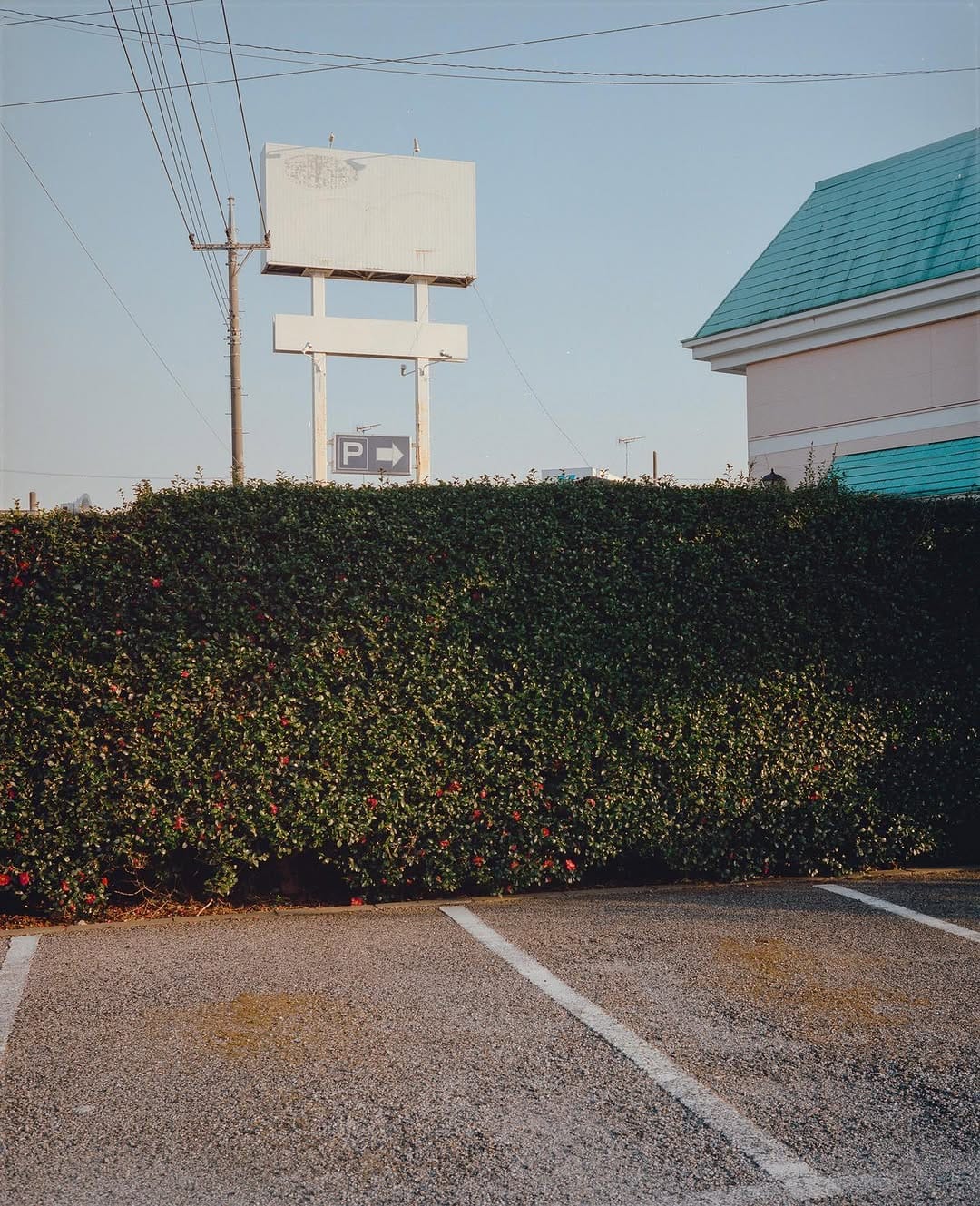 Post 4 by Yoshiyuki Yatsuda on Instagram (image)