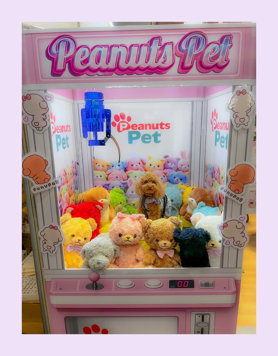 Post 7 by かずぅん on Instagram (carousel)