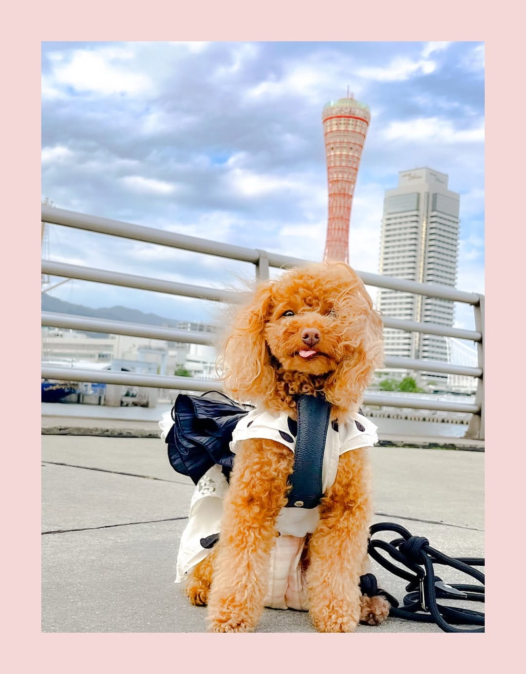 Post 3 by かずぅん on Instagram (carousel)