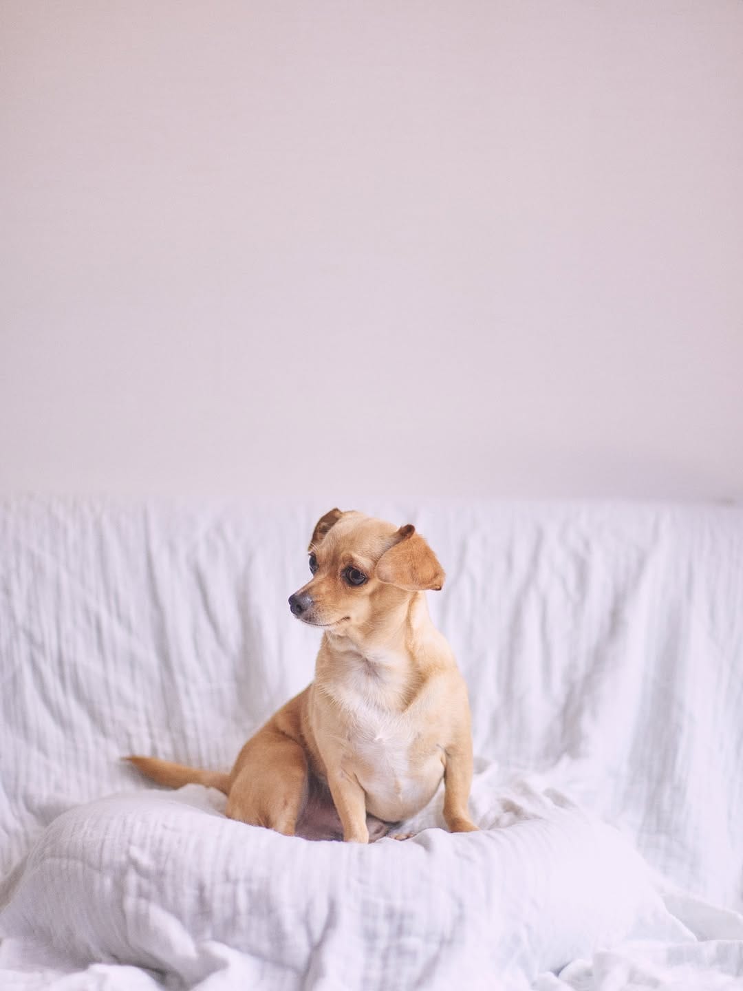 Post 8 by Junichi Mae | photographer on Instagram (carousel)