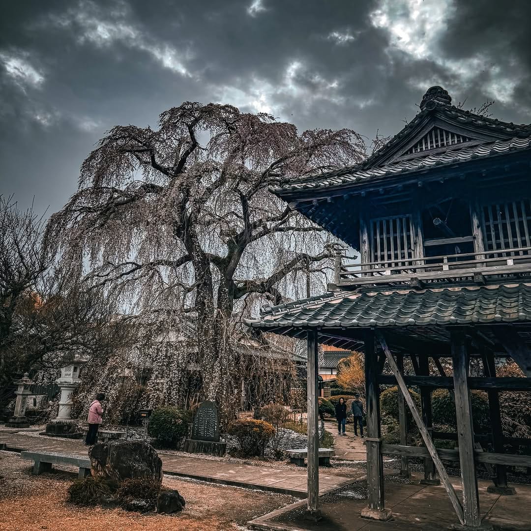 Post 6 by 株式会社エムワークス on Instagram (image)