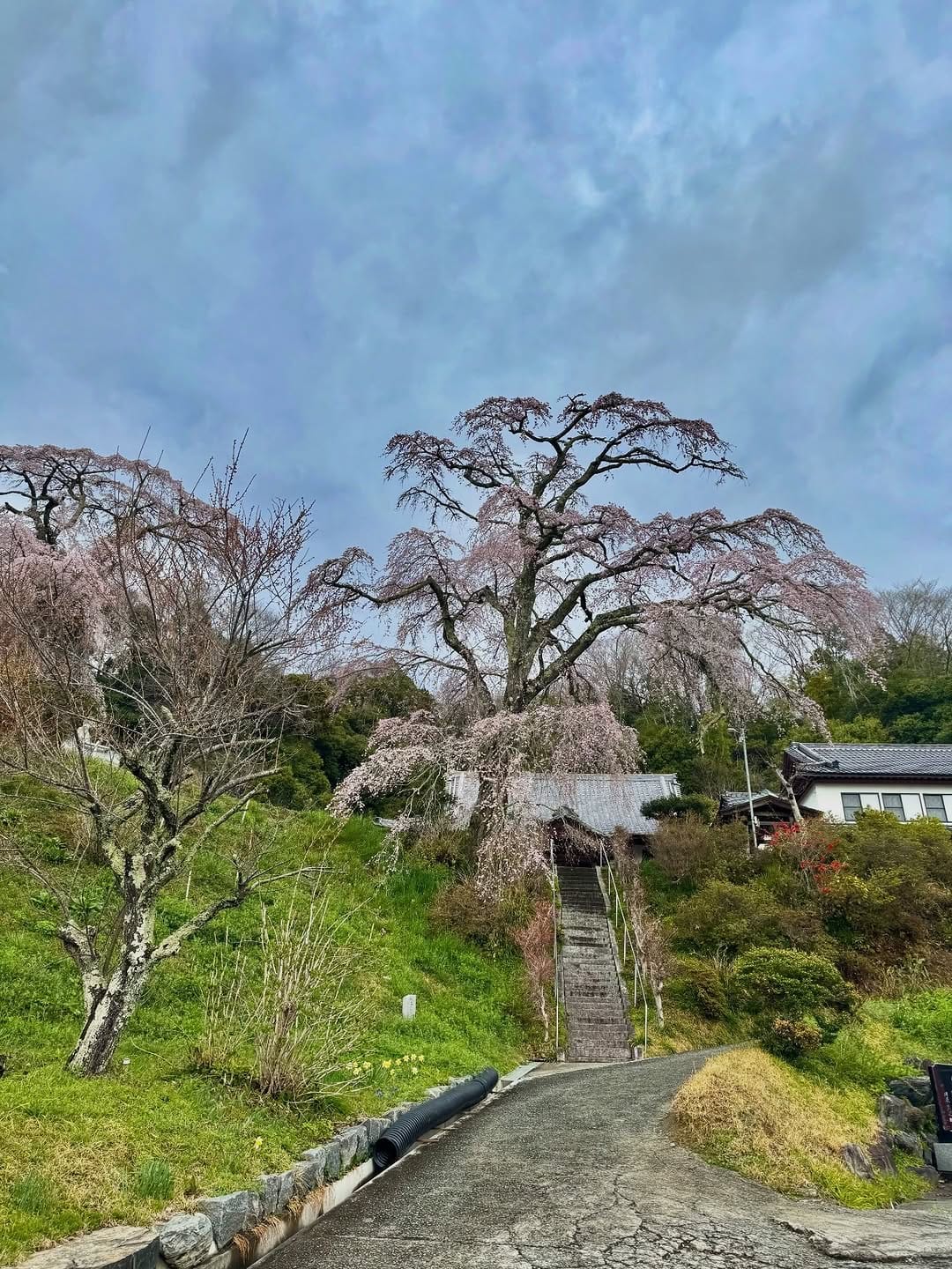 Post 5 by 株式会社エムワークス on Instagram (image)