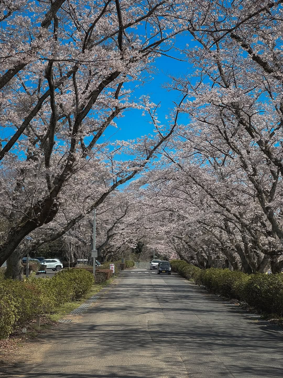 Post 4 by 株式会社エムワークス on Instagram (image)