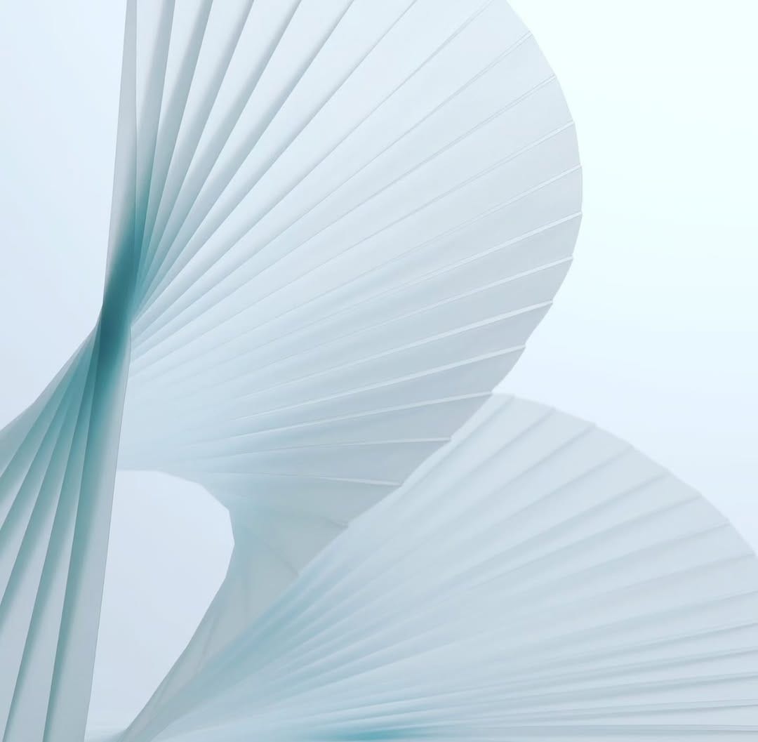 Post 7 by 笹口悦民  |  Yoshihito SASAGUCHI on Instagram (image)