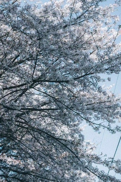 Post 10 by たかと。 on Instagram (video)
