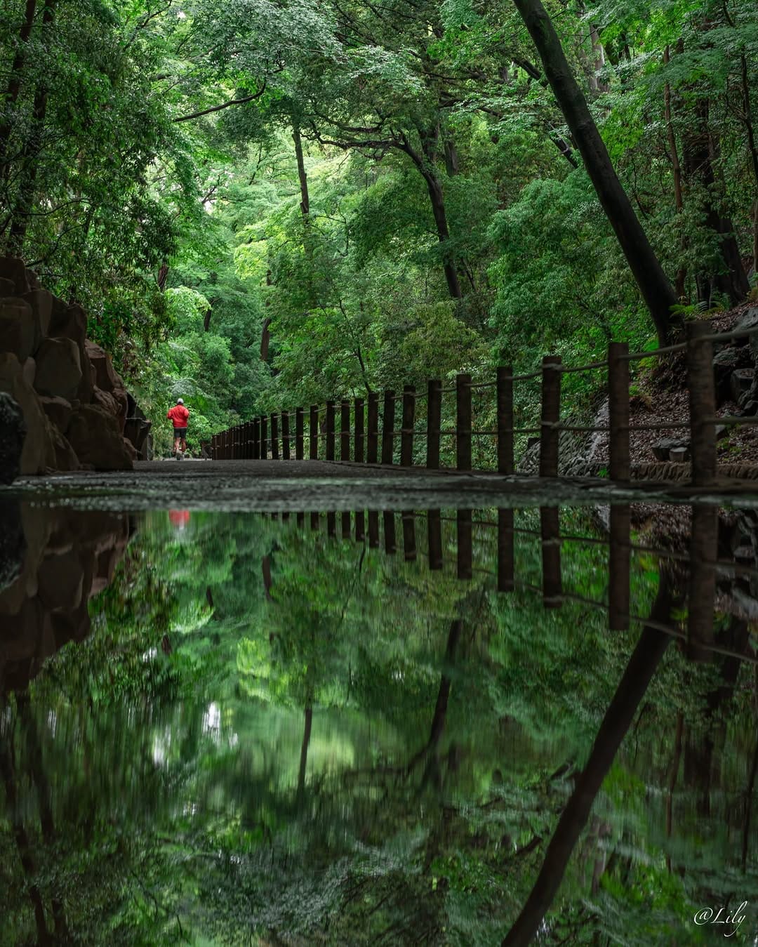 Post 4 by ひとりさとり on Instagram (image)