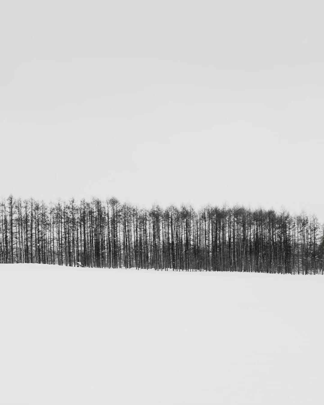 Post 6 by ken on Instagram (image)