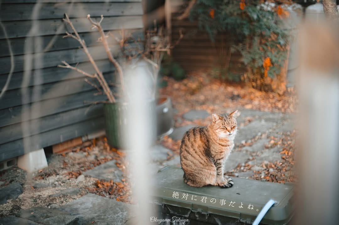 Post 8 by 奥山 達哉 on Instagram (carousel)