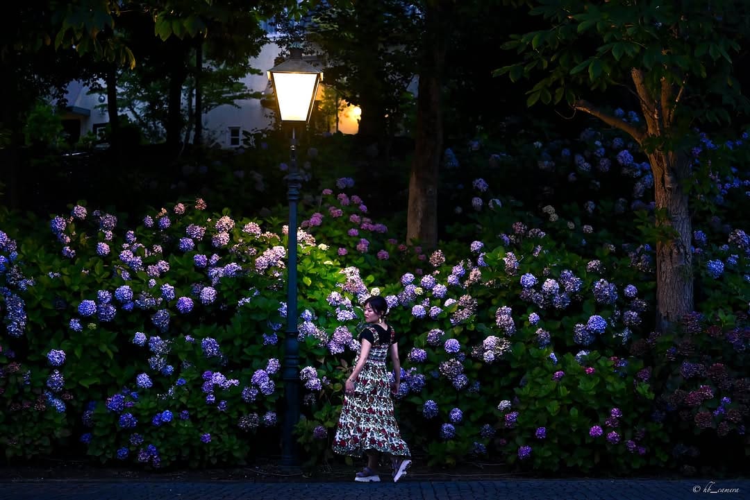 Post 4 by mii(みぃ) ⇔photo📸 on Instagram (carousel)